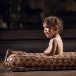 DockATot Deluxe+ Babynestchen Busy Bees -Babywelt Verkauf dockatot deluxe babynestje busy bees 5 719b